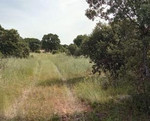 Land for sale in Brazatortas