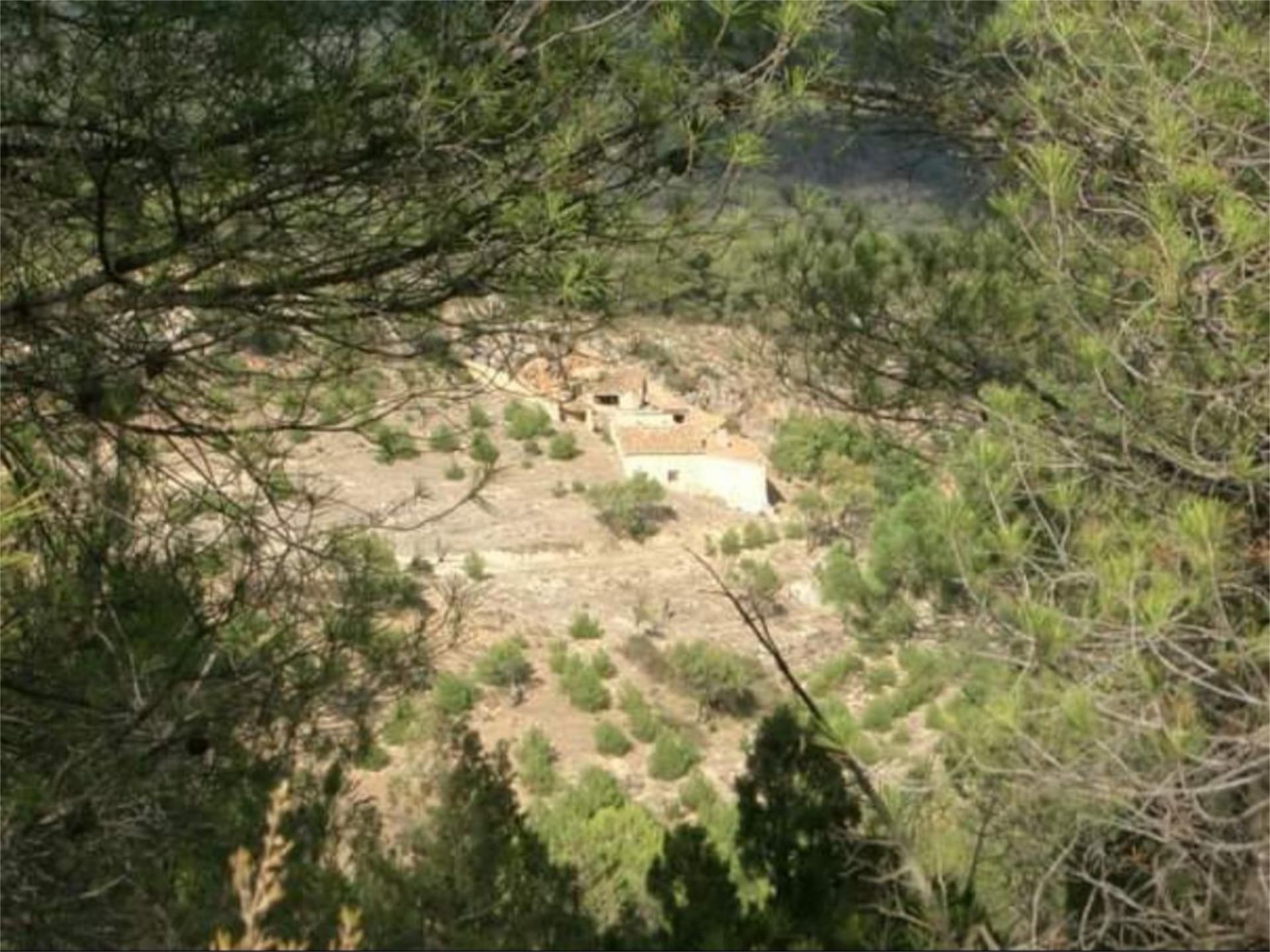 Land for sale in Bogarra