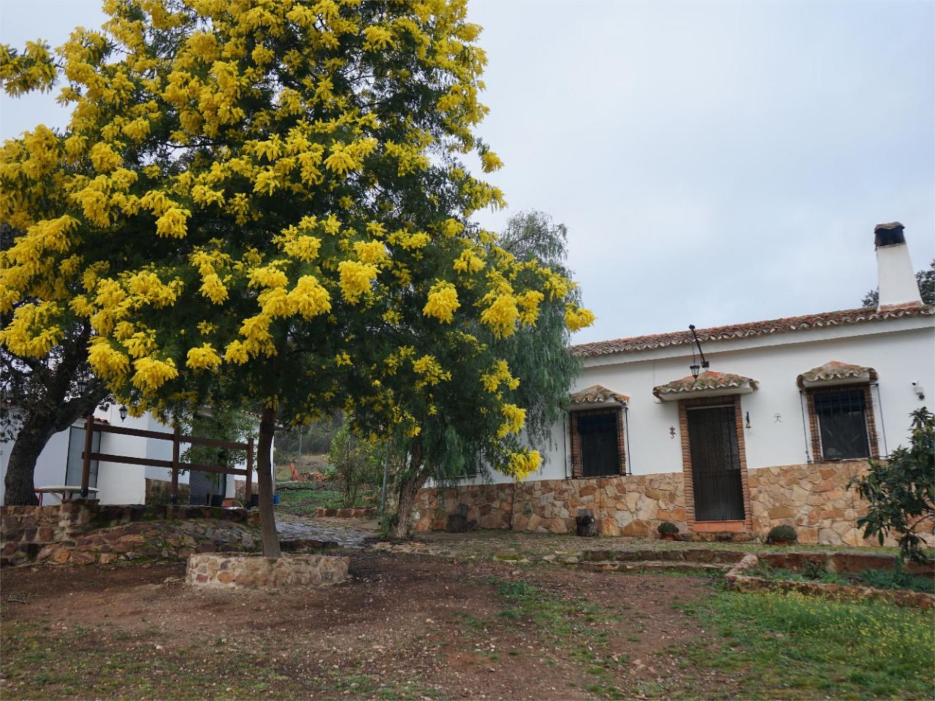 Exterior view of House or chalet for sale in Hinojosa del Duque  with Private garden, Swimming Pool and Furnished