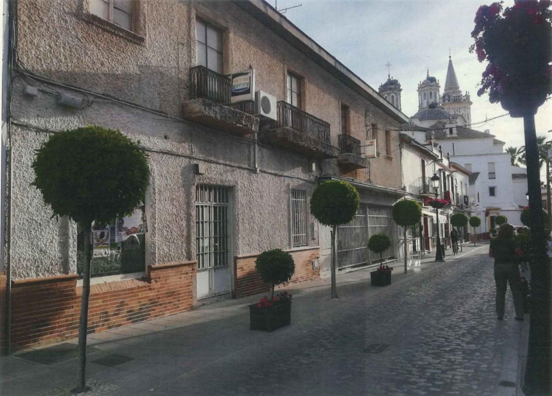 Exterior view of Single-family semi-detached for sale in La Palma del Condado