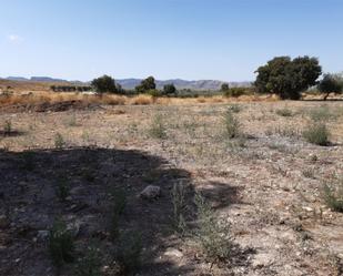 Constructible Land for sale in Hellín