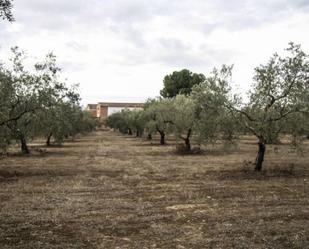 Finca rústica en venda en Montilla