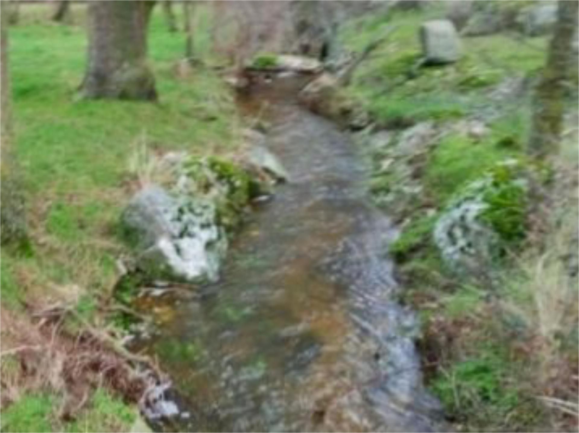 Außenansicht von Grundstücke zum verkauf in Brieva