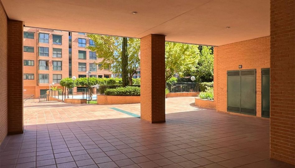 Piso de alquiler en Avenida de Los Arces, 17, Palomas - Imagen 3