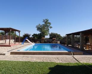 Piscina de Finca rústica en venda en Benalup-Casas Viejas amb Piscina