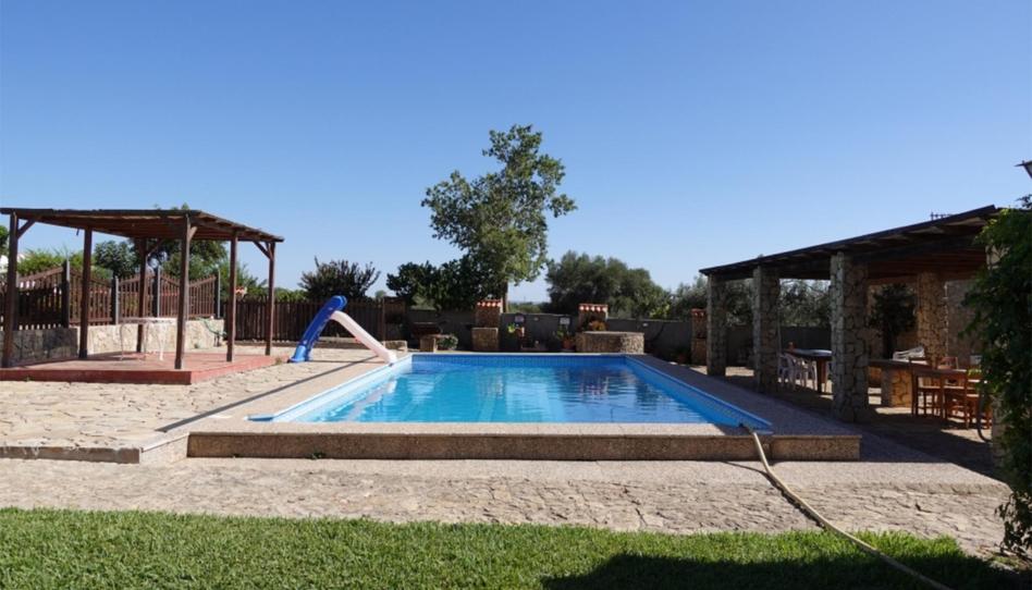 Country house for sale in Calle Paternilla, 1, Benalup-Casas Viejas, Cádiz - image 1 Photo 1 of Country house for sale in Calle Paternilla, 1, Benalup-Casas Viejas, Cádiz