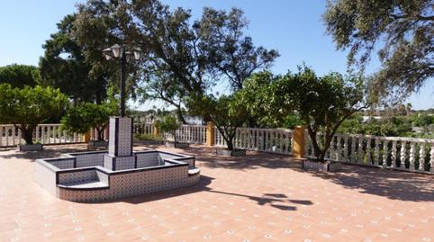 Country house for sale in Calle Paternilla, 1, Benalup-Casas Viejas, Cádiz - image 5 Photo 5 of Country house for sale in Calle Paternilla, 1, Benalup-Casas Viejas, Cádiz