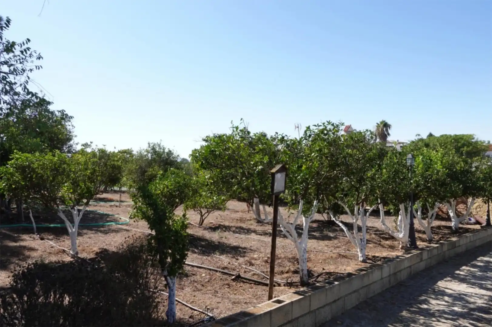 Country homes for sale in Calle Paternilla, 1, Benalup-Casas Viejas Country homes for sale in Benalup-Casas Viejas with Private garden, Storage room and Swimming Pool