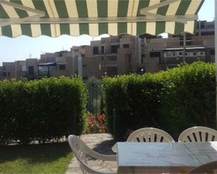 Jardí de Apartament de lloguer en Peñíscola / Peníscola amb Terrassa i Piscina