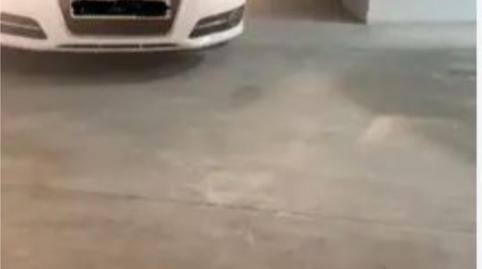 Garatge de lloguer a Calle Marie Curie, 10, Churra, Murcia - imatge 2 Foto 2 de Garatge de lloguer a Calle Marie Curie, 10, Churra, Murcia