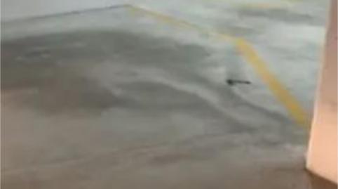 Garatge de lloguer a Calle Marie Curie, 10, Churra, Murcia - imatge 3 Foto 3 de Garatge de lloguer a Calle Marie Curie, 10, Churra, Murcia