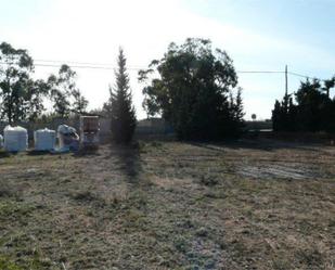 Land for sale in Elche / Elx