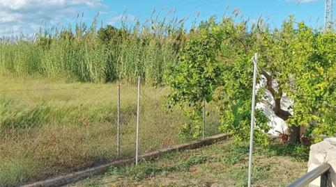 Foto 2 de Casa o xalet en venda a Oliva Nova, Oliva