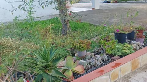 Foto 4 de Casa o xalet en venda a Oliva Nova, Oliva