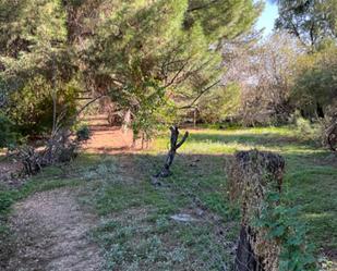 Land for sale in Valladolid Capital