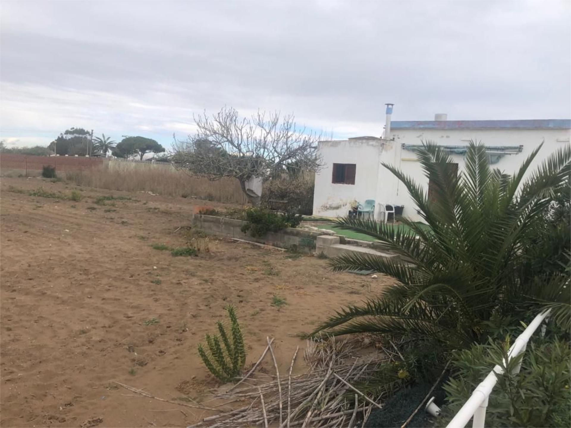 Land for sale in Sueca