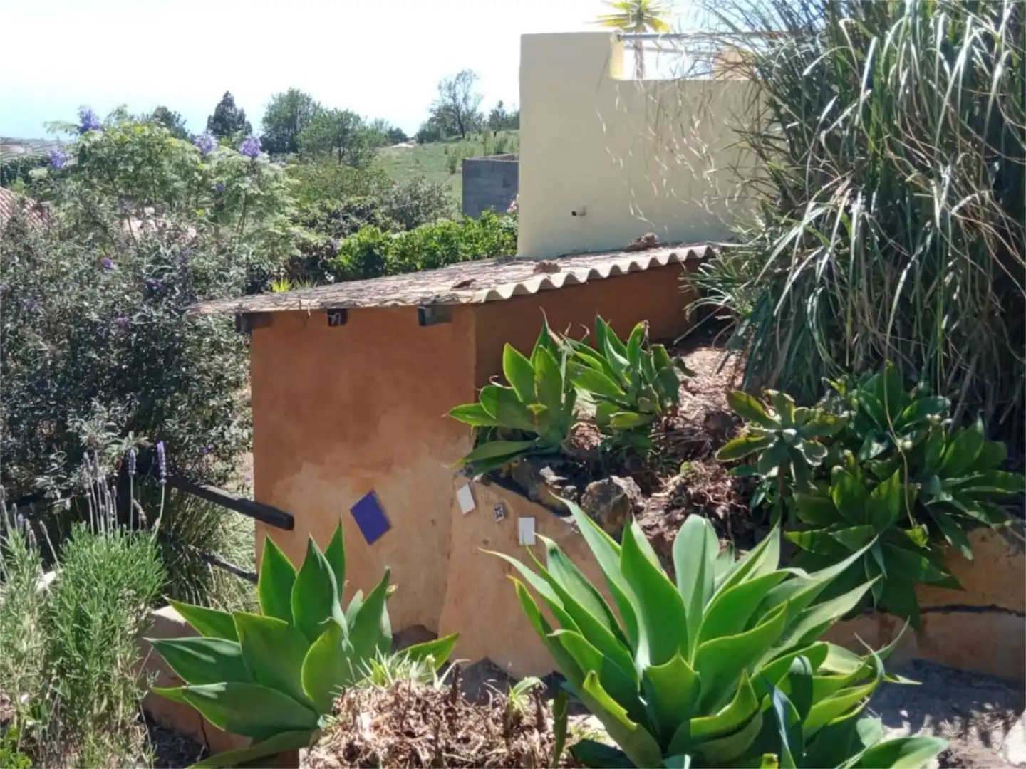 Jardí de Casa adosada en venda en El Paso amb Aire condicionat i Terrassa