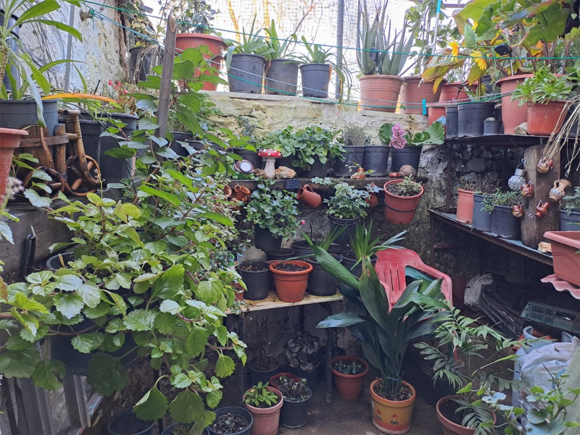 Jardí de Pis en venda en Castaño del Robledo amb Traster