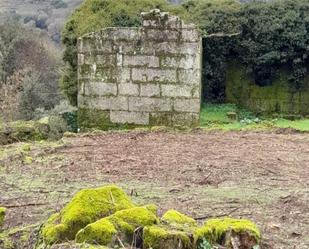 Garten von Grundstücke zum verkauf in Cenlle