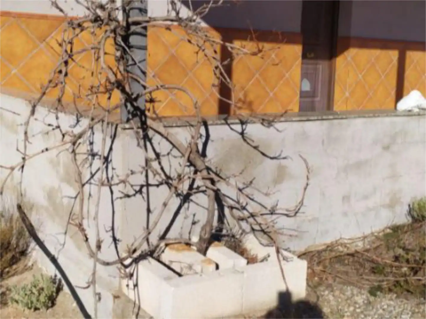 Country homes for sale in Diseminado la Ermita, 8, Oria Exterior view of Country homes for sale in Oria