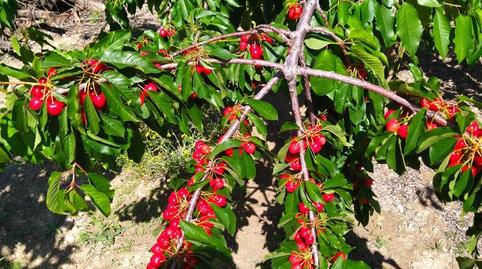 Casa o xalet de lloguer a Calle Ramón y Cajal, 12, Castillo de Locubín, Jaén - imatge 3 Foto 3 de Casa o xalet de lloguer a Calle Ramón y Cajal, 12, Castillo de Locubín, Jaén