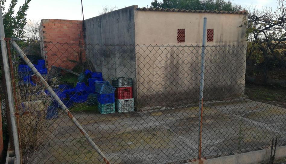 Finca rústica en venda a Camino Ullal de la Comare, 118r, El Grao, Castellón - imatge 1 Foto 1 de Finca rústica en venda a Camino Ullal de la Comare, 118r, El Grao, Castellón