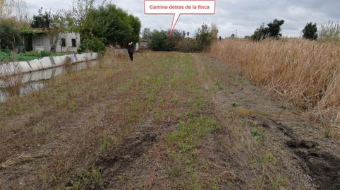 Finca rústica en venda a Camino Ullal de la Comare, 118r, El Grao, Castellón - imatge 4 Foto 4 de Finca rústica en venda a Camino Ullal de la Comare, 118r, El Grao, Castellón