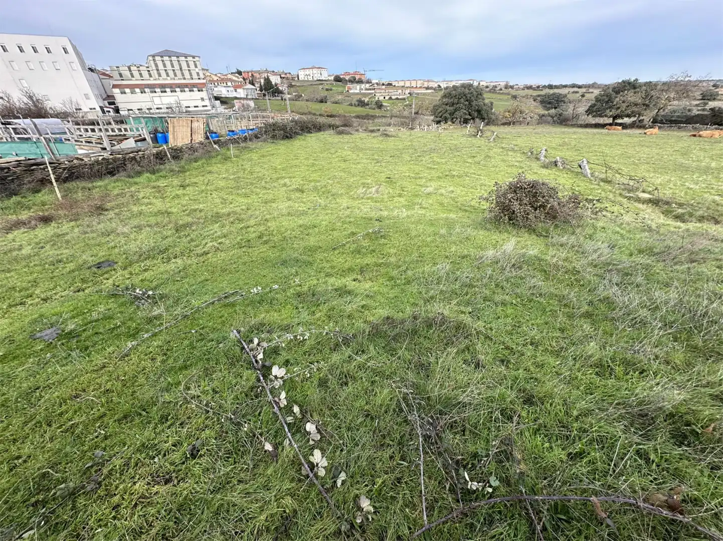 Residential for sale in Guijuelo