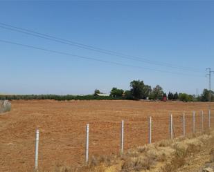 Non-constructible Land for sale in Alcalá de Guadaira