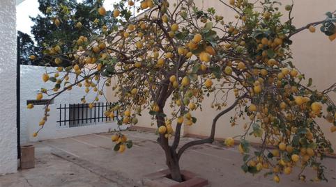 House or chalet for sale in Calle las Palmeras, 8, Pulpí pueblo, Almería - image 4 Photo 4 of House or chalet for sale in Calle las Palmeras, 8, Pulpí pueblo, Almería