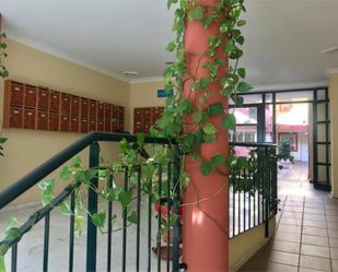 Flat for sale in Pilas  with Air Conditioner and Terrace