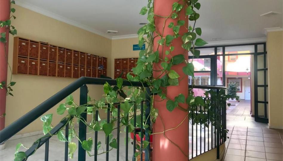 Photo 1 of Flat for sale in Calle Párroco Vicente Moya, 9, Pilas, Sevilla