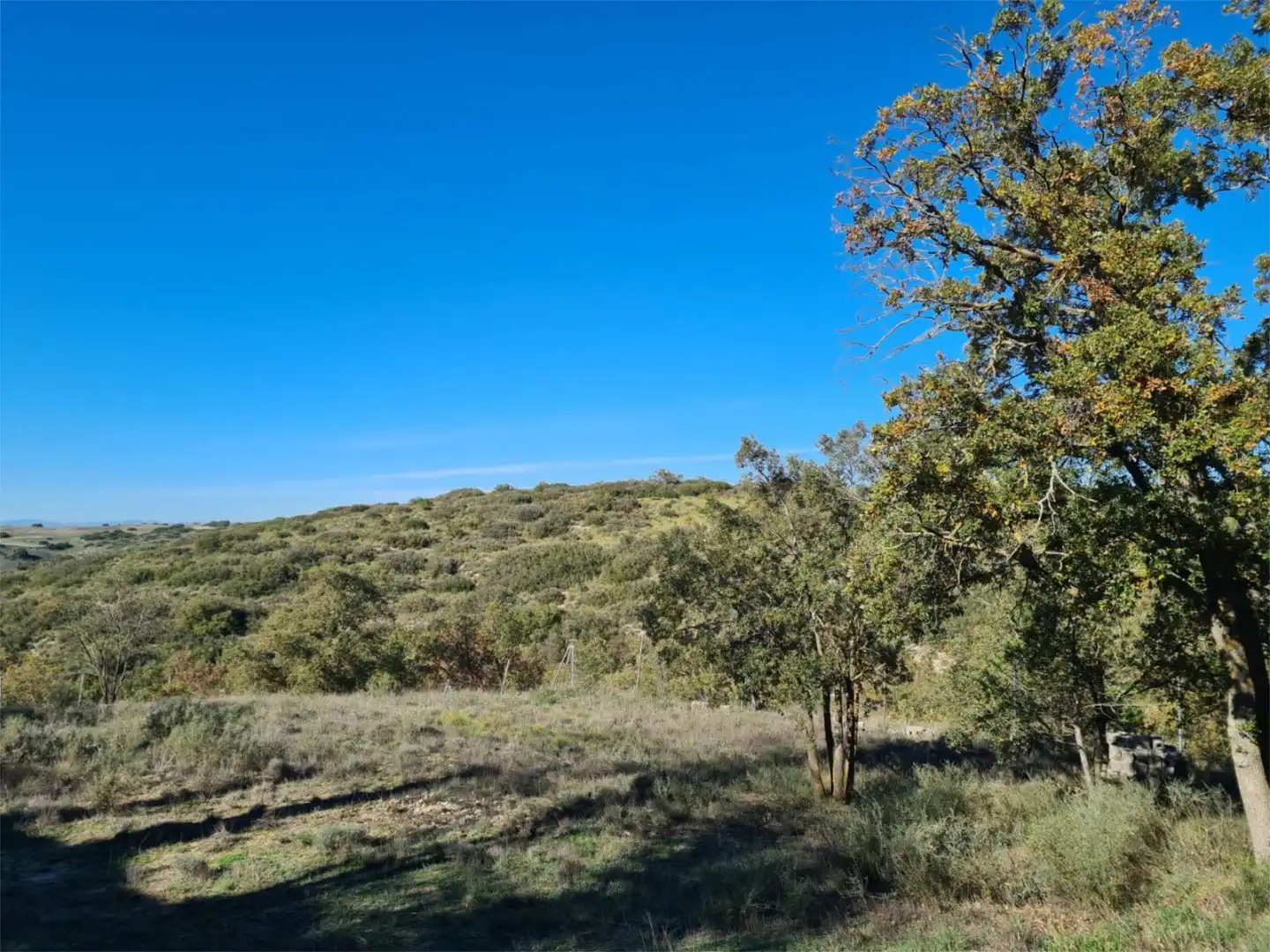 Grundstücke zum Verkauf in Calle Mirto, 8, El Robledal Grundstücke zum Verkauf in Villalbilla
