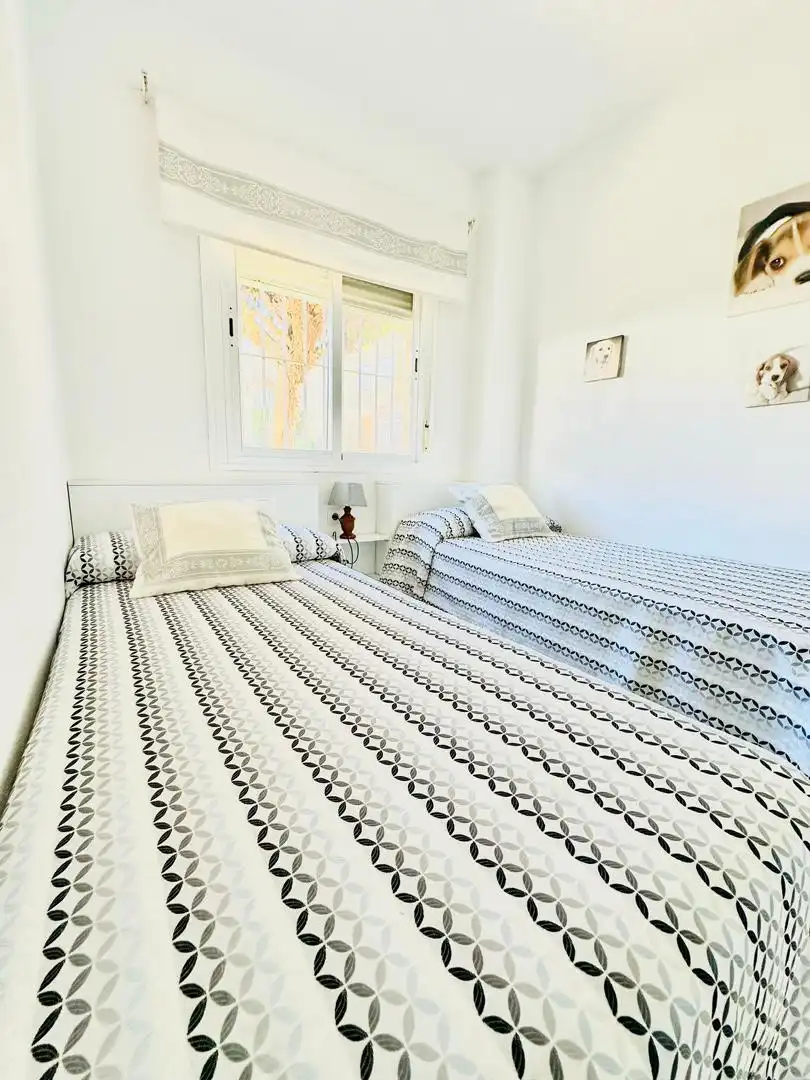 Detached homes for rent in Calle Asdrúbal, 20, Novo Sancti Petri