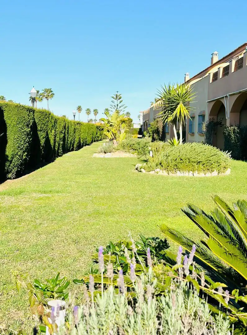 Detached homes for rent in Calle Asdrúbal, 20, Novo Sancti Petri