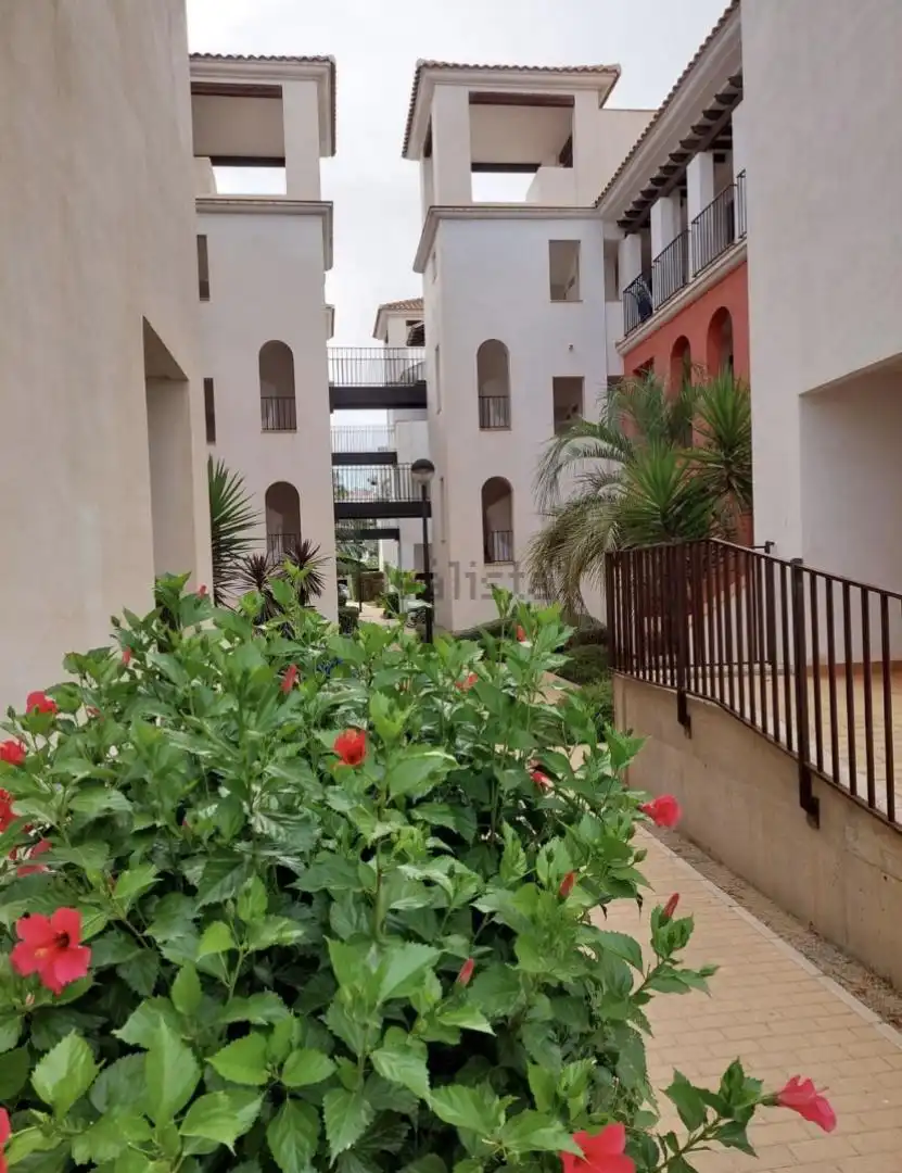 Exterior view of Flat for sale in Vera  with Air Conditioner, Private garden and Terrace