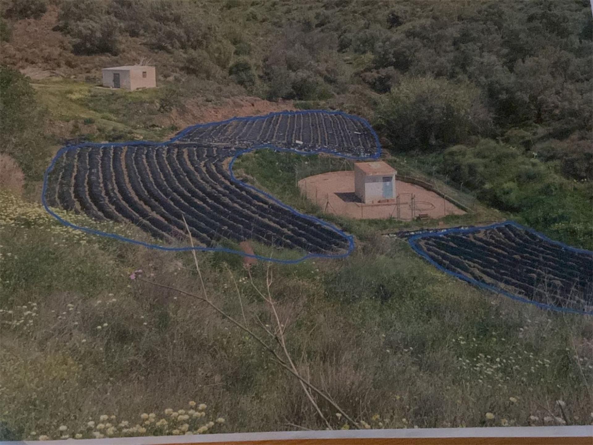 Garden of Land for sale in Vélez-Málaga