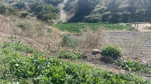 Photo 5 of Land for sale in Camino Viejo de Málaga, Vélez-Málaga