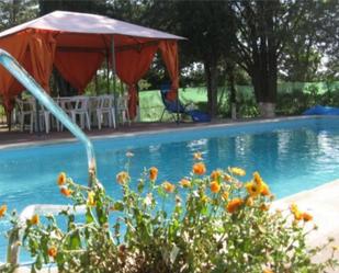 Piscina de Casa o xalet en venda en Pedro Muñoz amb Aire condicionat i Piscina