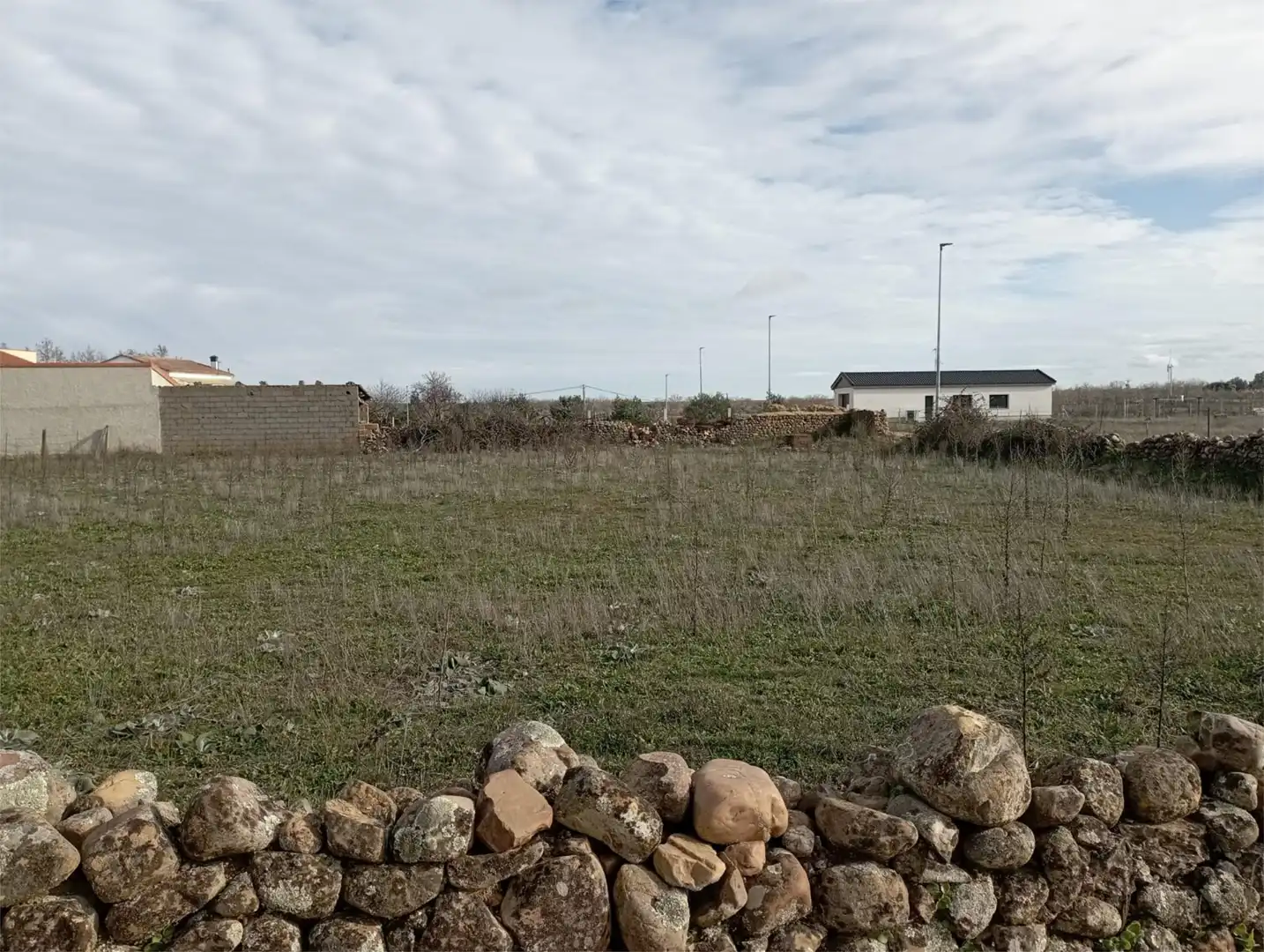 Land for sale in Alba de Yeltes