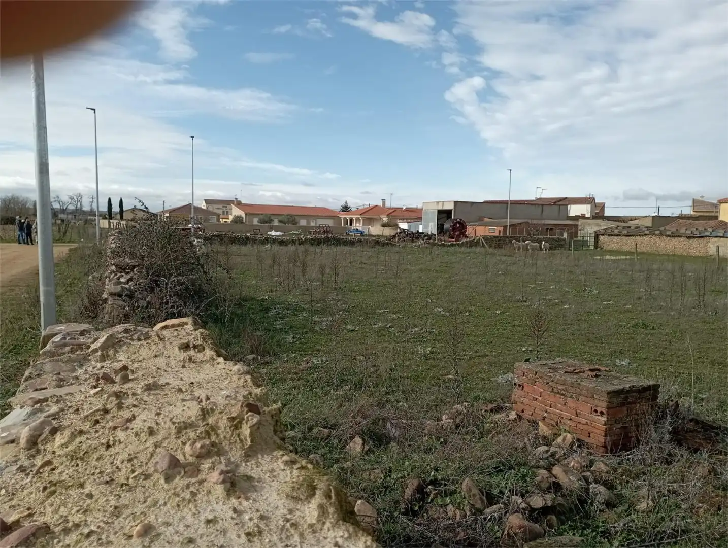 Land for sale in Alba de Yeltes