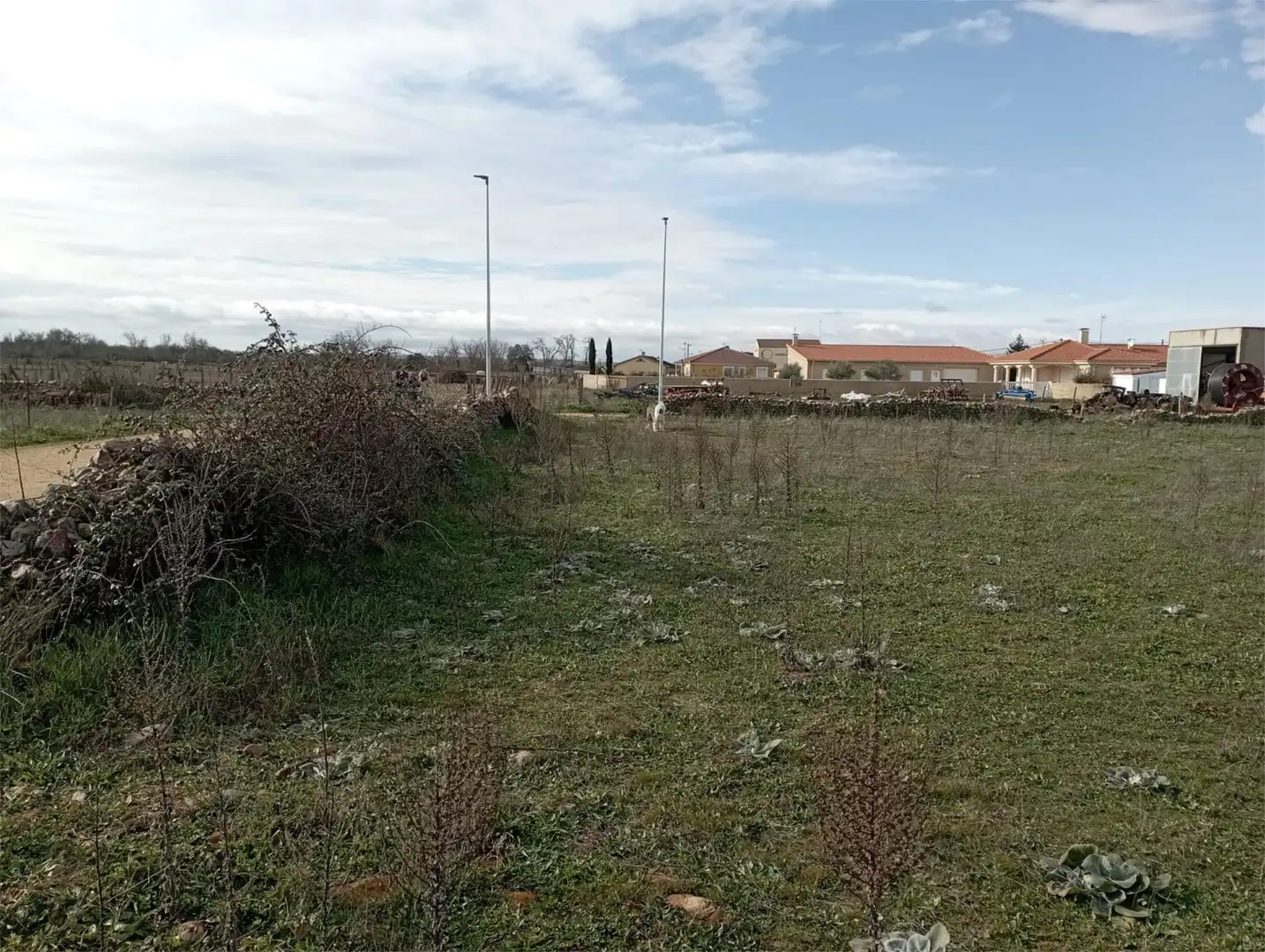 Land for sale in Alba de Yeltes