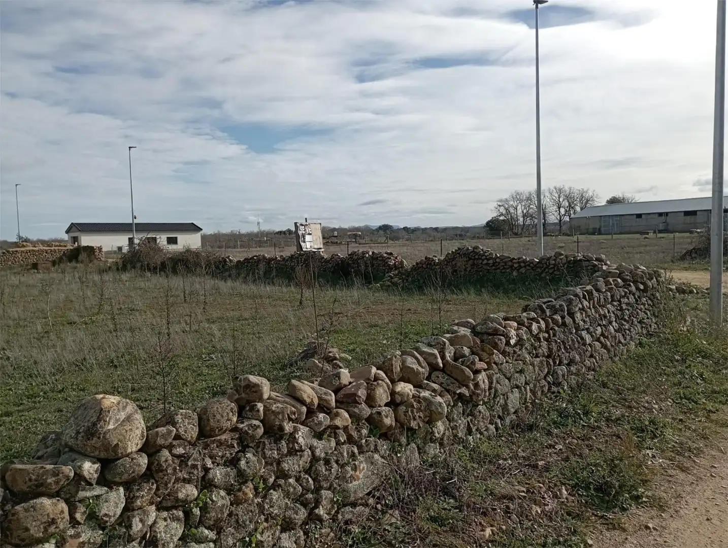 Land for sale in Alba de Yeltes