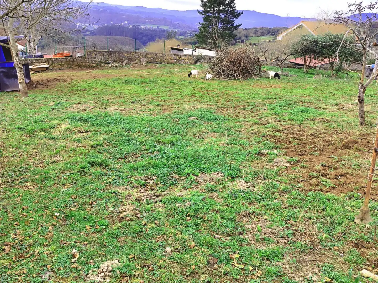 Urbanizable en venta en Lugar Rañeces, Las Regueras Urbanizable en venta en Lugar Rañeces, Las Regueras