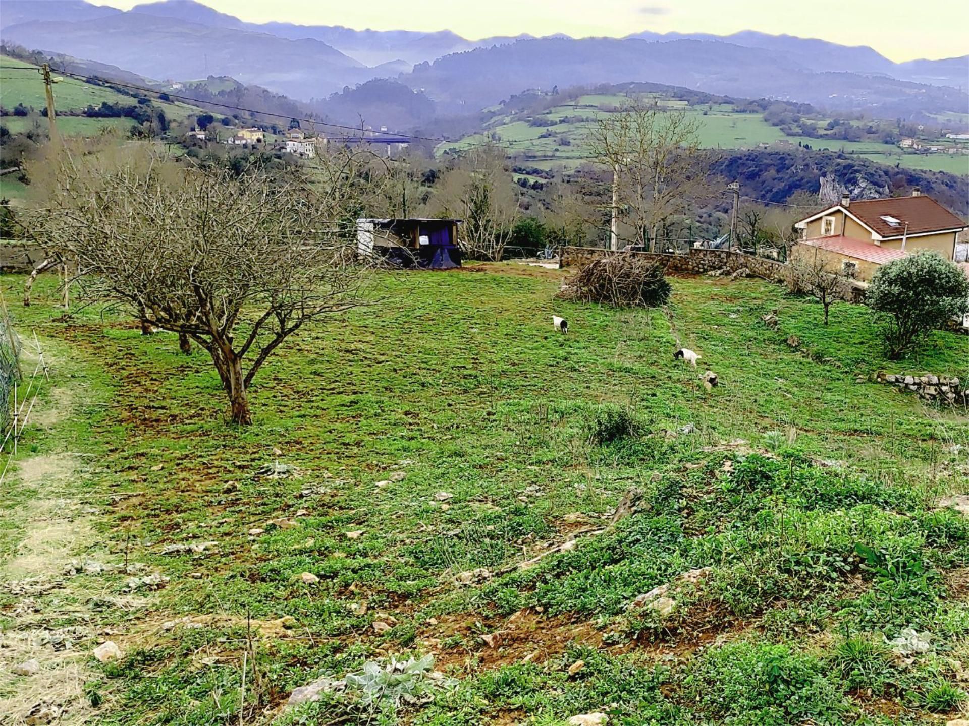 Urbanitzable en venda a Lugar Rañeces, Las Regueras