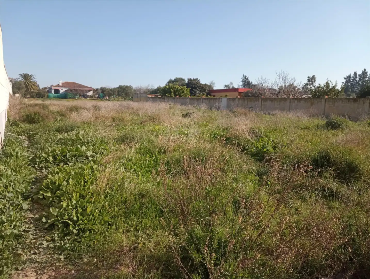 Country homes for sale in Camino de Cabeza de la Vaca, 10, La Jara Country homes for sale in Sanlúcar de Barrameda