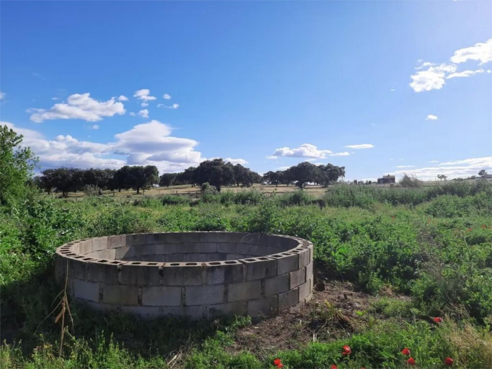 Grundstücke zum verkauf in Mirandilla