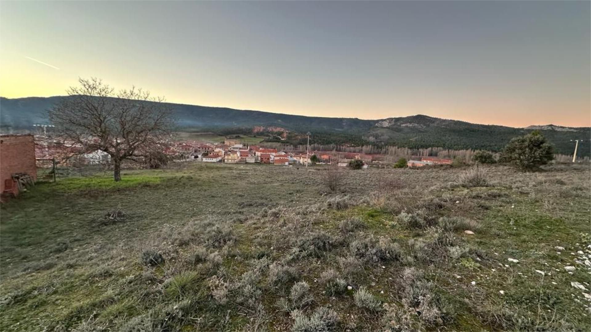 Land for sale in Cañamares