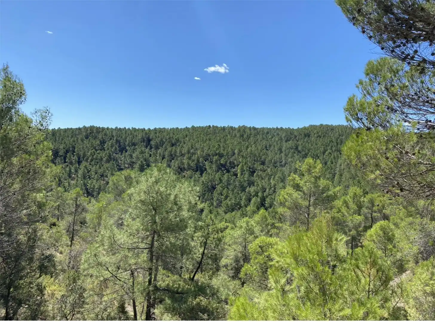 Land for sale in 501, 80, Cañamares Land for sale in Cañamares