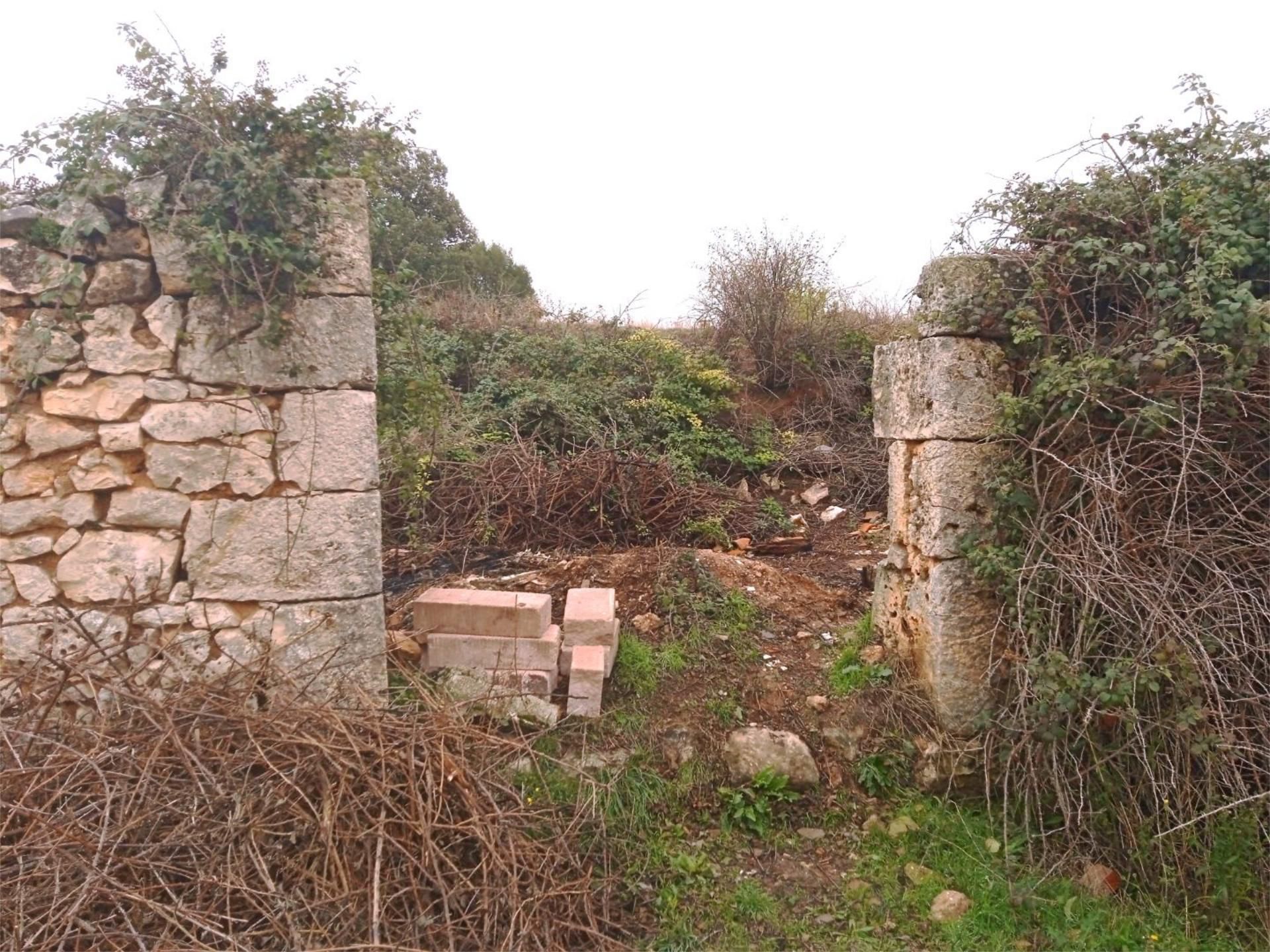 Land for sale in Fontioso